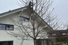IMG_5885