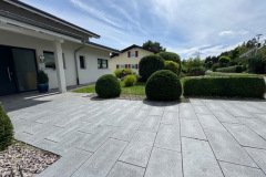 IMG_7931